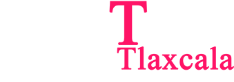 st-logo-b
